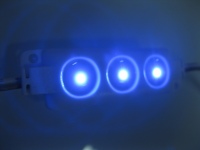 Moduł LED LG-LM5003B Niebieski