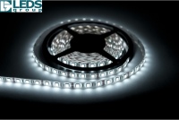 Pasek LED 60led/m SMD5050 Czysty Biały